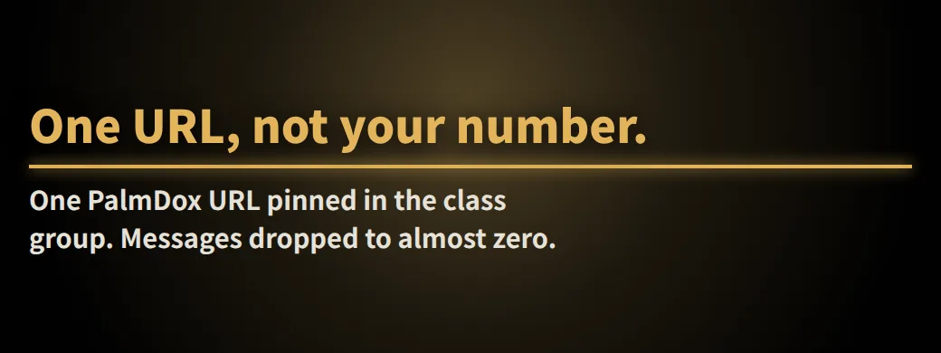 Friday night, 12 messages — will you answer? One URL, not your number. One PalmDox URL pinned in the class group. Messages dropped to almost zero.